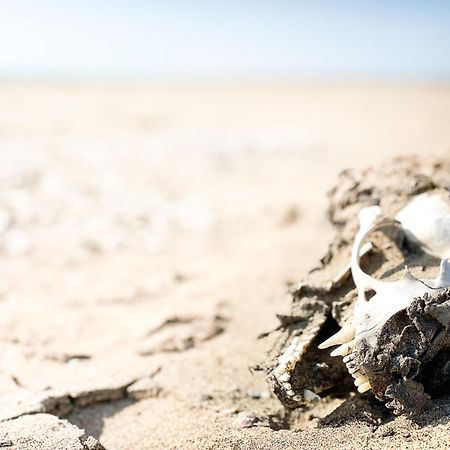 Skeleton Beach Backpackers Swakopmund Eksteriør bilde